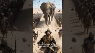 Download lagu Keajaiban Burung Ababil | Kisah Nyata Pasukan Gajah & Ka'bah (Penjelasan Surah Al-Fil) mp3