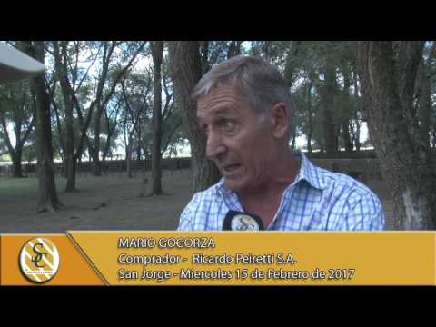 15-02-17 Nota Mario Gogorza - Ricardo Peiretti S.A. - San Jorge.