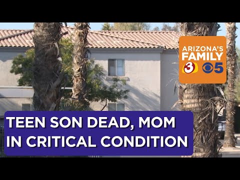 Mom reportedly killed teen son in attempted murder-suicide; survives