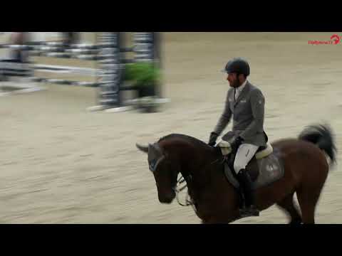 Just be Gentle v. Tyson x Ticallux verte and Philipp Weishaupt 6y Riesenbeck**