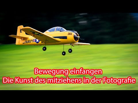 Capturing Movement The Art of Panning in Photography