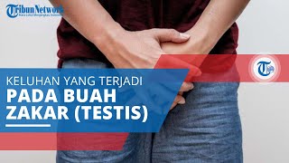 Orchitis, Keluhan yang Terjadi pada Salah Satu atau Kedua Buah Zakar (Testis)