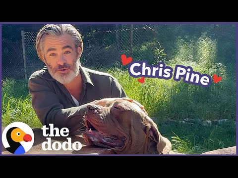 Chris Pine Goes on A Dodo Dream Date | The Dodo