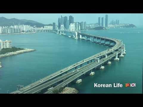 Busan South Korea Best  Beach view  with Relaxing Birds Sounds, Meditation music, 부산 광안대교