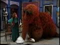 Sesame Street Snuffy S Sore Foot