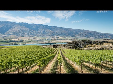 Appellation Wine Tours | Travel Trade Queenstown