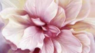 Conny van den Bos (Roosje mijn Roosje)