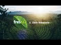 FRESTEA X Diela Maharanie RasakanKesegaranPagi
