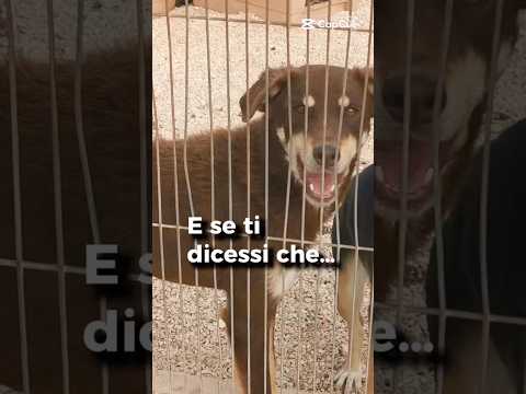 Regalo TRE ANNI DIETRO LE SBARRE PUOI CAMBIARE IL MIO DESTINO