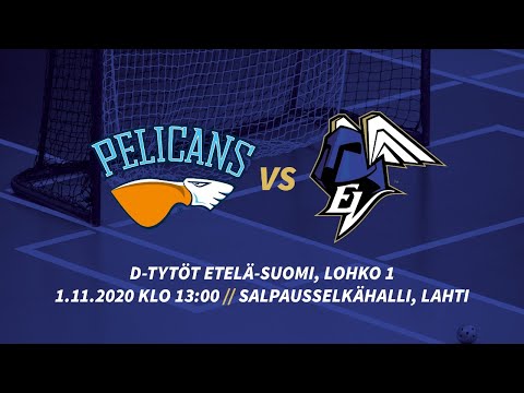 PELICANS – ERÄVIIKINGIT // D-TYTÖT ETELÄ-SUOMI, LOHKO 1 // 1.11.2020