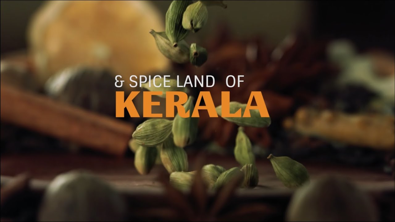 Exotic Masala Chai | Doko Natural | Order Now