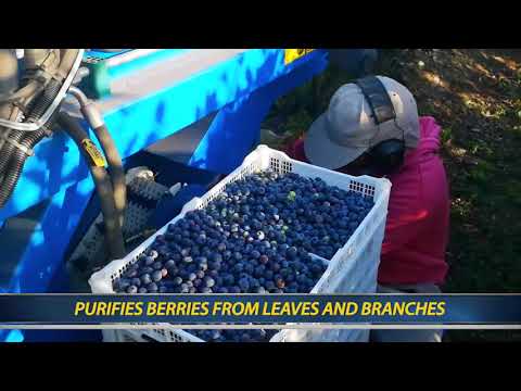 Ягодо-уборочный комбайн BSK Kokan500S