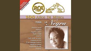 Si Me Pudieras Querer Lyrics English Translation