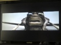 A Bugs Life Game Over MP4