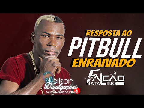 FALCAO A EXPLOSÃO DO MOMENTO - RESPOSTA AO PITBULL ENRAIVADO - REPERTÓRIO ATUALIZADO 2023