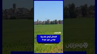 انتعاش أراض فلاحية بعد التساقطات المطرية نواحي عين عودة thumbnail