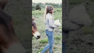 Download lagu A donkey almost ate my girlfriend. Unmissable sneak peek! Full video on the channel! #shorts #ani... mp3 Download lagu A donkey almost ate my girlfriend. Unmissable sneak peek! Full video on the channel! #shorts #ani... mp3