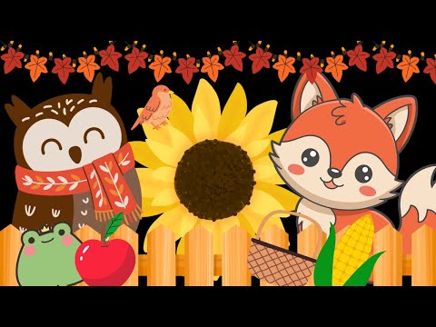Peekaboo Autumn Friends Baby Sensory Video with Visual Stimulation and High Contrast & Calming Music