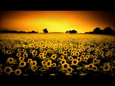 Trakya Çiftetellisi