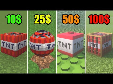 Peteson Craft - minecraft for 10$ vs 25$ vs 50$ vs 100$ vs 1000$