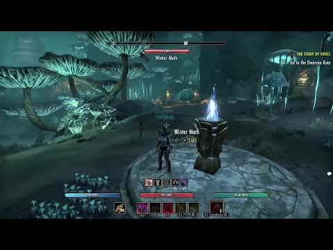 Bloodborne Chalice Dungeon Dives