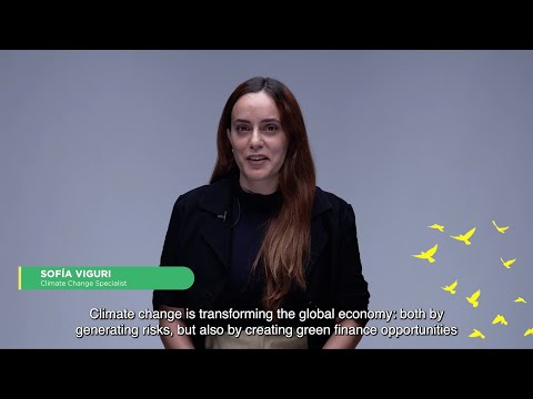 What does the Paris Agreement alignment framework look like at the IDB?