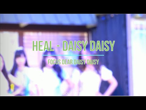 Heal - Daisy Daisy [Dear Focus] @ Japan week Korat 20190831 [1080P 60FPS]