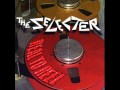 The selecter- Black ska liner