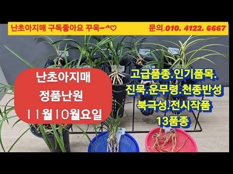 유튜브 썸네일
