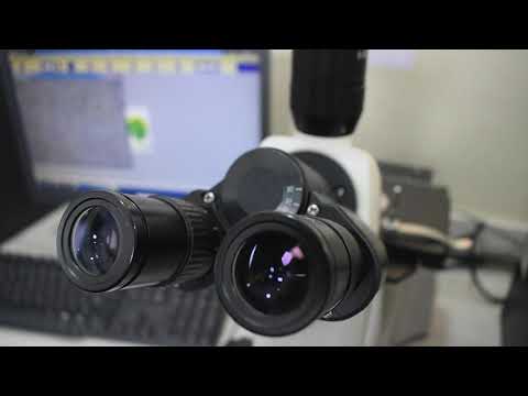 Metallurgical Testing Services