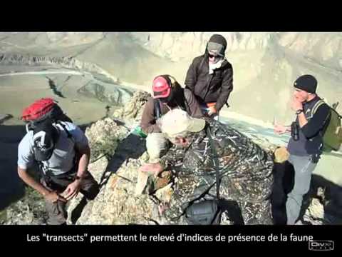 comment participer a une expedition scientifique
