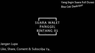 Download lagu Suara Walet Panggil Bintang 01 mp3