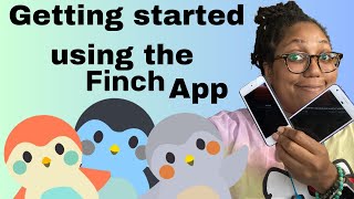 Beginners Guide to Finch App set up a new Pet Self Care App Help newbies