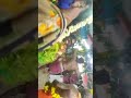 Amman Kovil Kodai Kombadi Thalavaipuram 11 05 2021