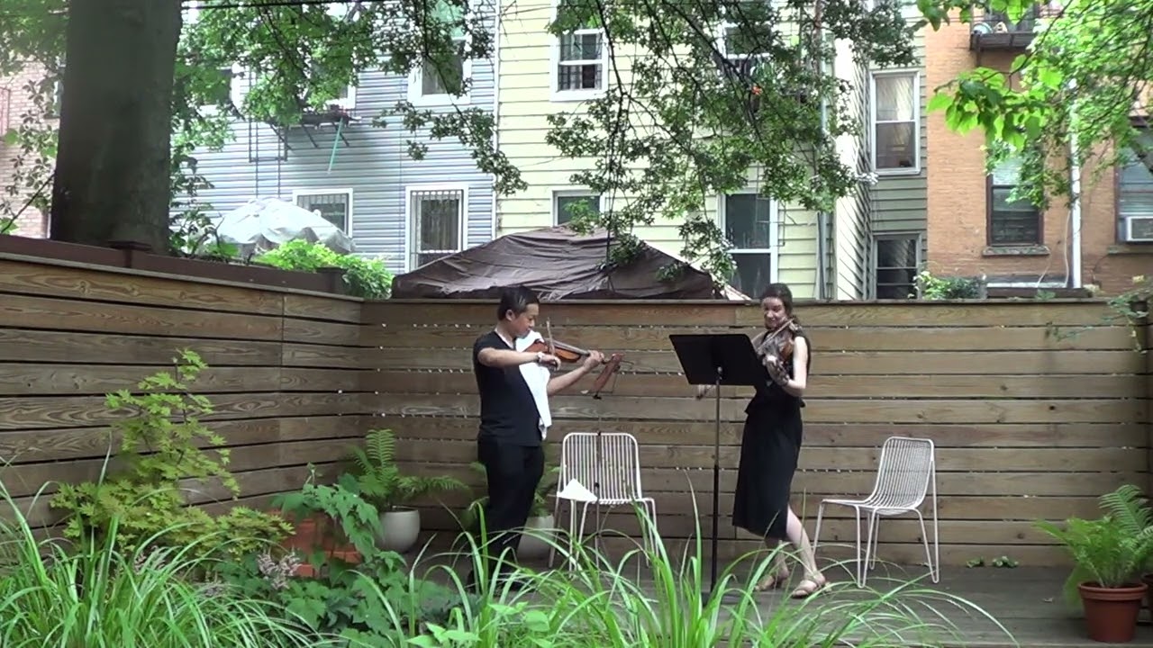 Promotional video thumbnail 36 for Xinou Wei Strings
