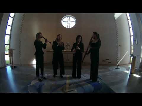 Woodpeckers play Largo by Vivaldi! RV 443