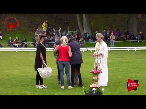 2ND N.26 JB APPASSIONATA - Scandinavian Open Championship 2017 - Junior Fillies Championship