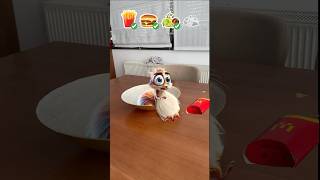 Download lagu Scrappy Ate All My Food #squirrel #pet #comedy mp3