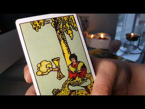 SAGITTARIUS | YOU ARE THE COOL CAT | JANUARY 2020