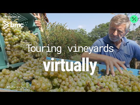 Coronavirus: Georgia's Centuries-Old Wine Tradition Turns To Virtual Reality