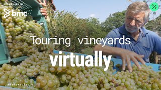 Coronavirus: Georgia's Centuries-Old Wine Tradition Turns To Virtual Reality