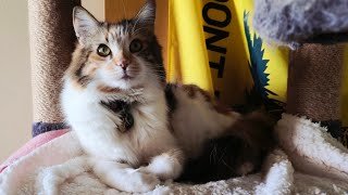 Ghandi Loved Triscuit(s)!