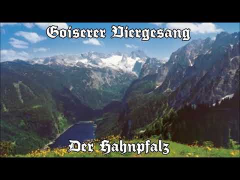 Goiserer Viergesang - Der Hahnpfalz