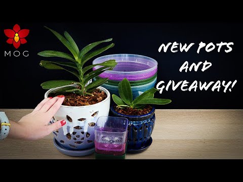 New Orchid pots from rePotme! + Giveaway! (CLOSED!)
