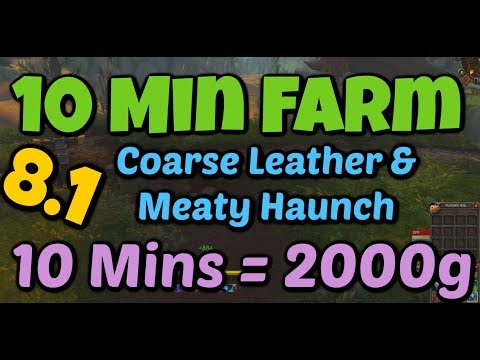 WoW BFA 10 Minute Farm 2000+ Gold GREAT Skinning Leather and Meat