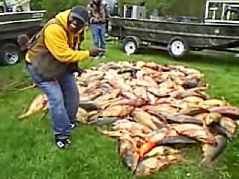 Bowfishing - výřad