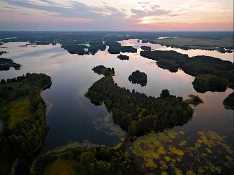 Danutė Neimontaitė. Vėjas man pasakė