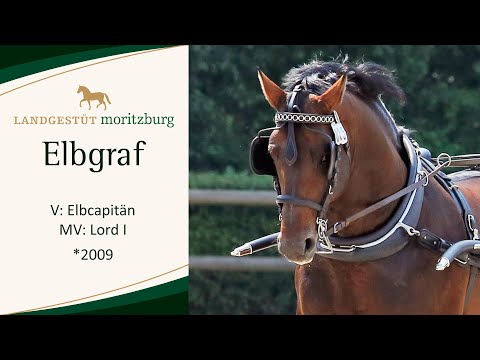 ELBGRAF v. Elbcapitän - Lord I