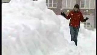 Bus barn collapse damages Wallace School Buses