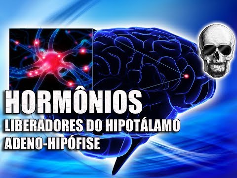 Hormônios Liberadores: Hipotálamo e Hipófise | Sistema Endócrino | Anatomia Humana | Vídeo Aula 158